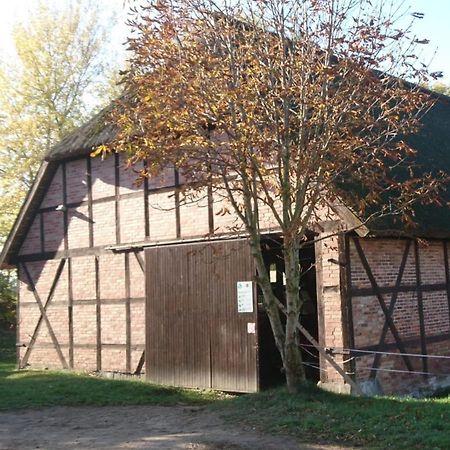 Ferienwohnung Reiterhof Groß Stubben Poseritz Exterior foto